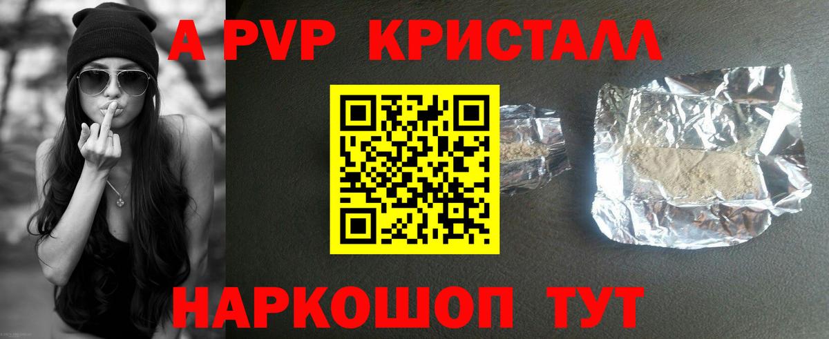A PVP СК КРИС Петровск