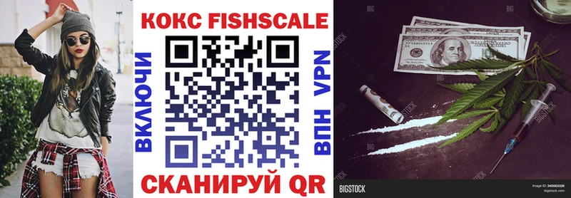 Кокаин FishScale сколько стоит кракен tor Петровск
