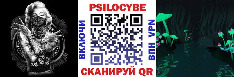 дарнет шоп  Петровск  Галлюциногенные грибы ЛСД 
