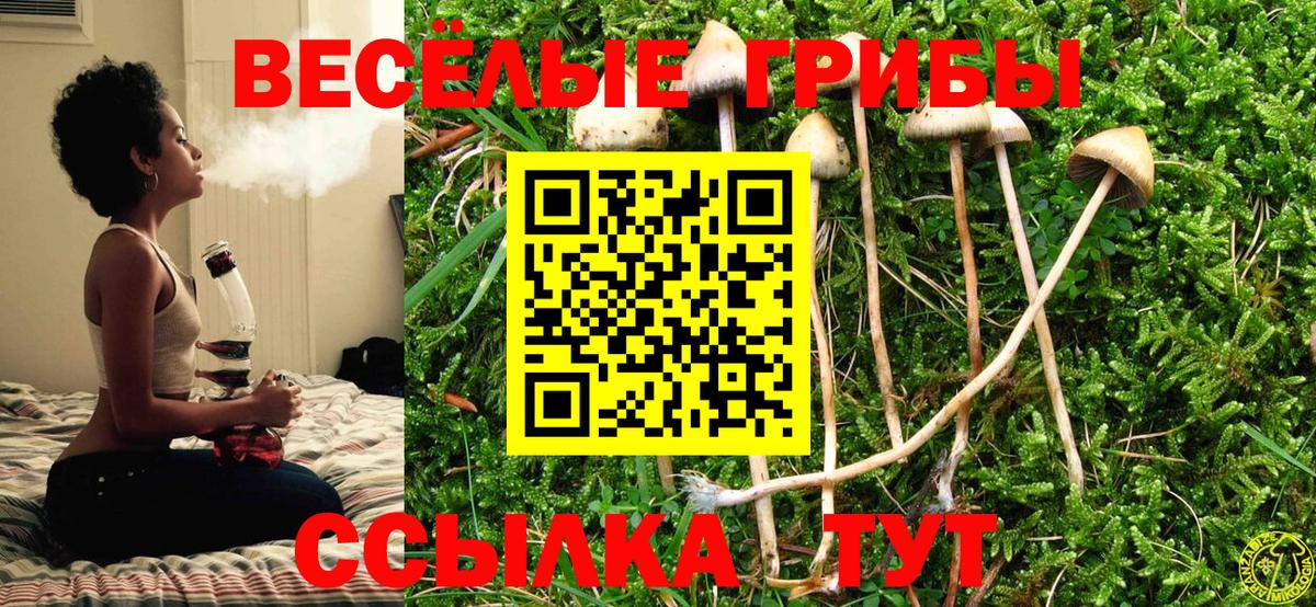 Галлюциногенные грибы GOLDEN TEACHER Петровск