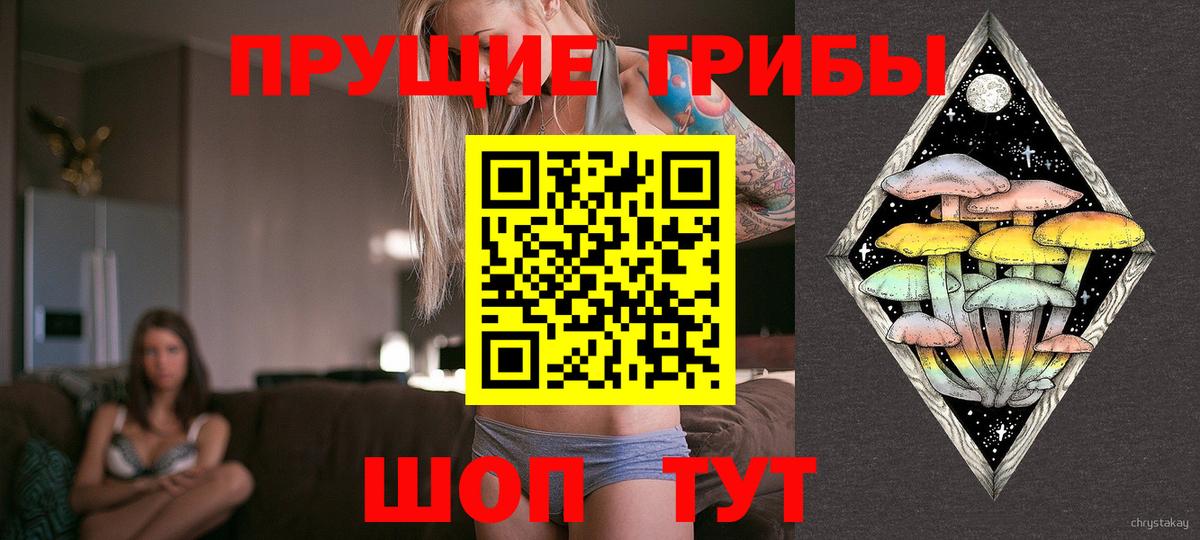 Псилоцибиновые грибы Magic Shrooms Петровск