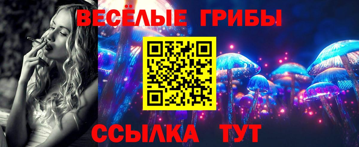 даркнет сайт  Петровск  Галлюциногенные грибы Psilocybine cubensis 