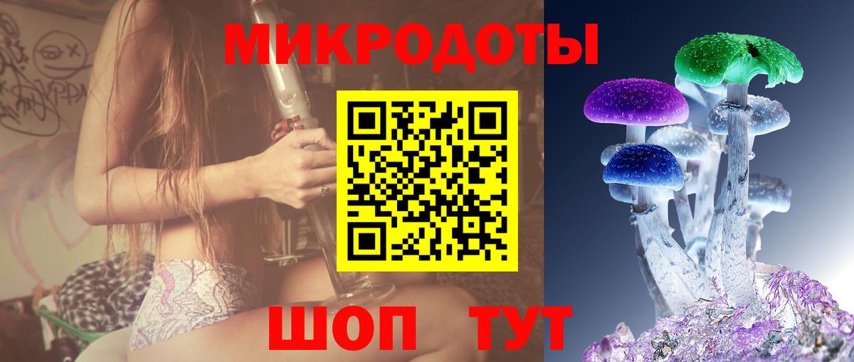 Петровск  Галлюциногенные грибы Psilocybine cubensis  Псилоцибиновые грибы мухоморы  Вход с VPN 